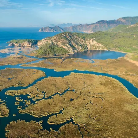 Bercu Paradise داليان