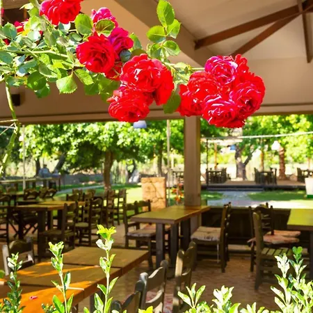 Bercu Paradise