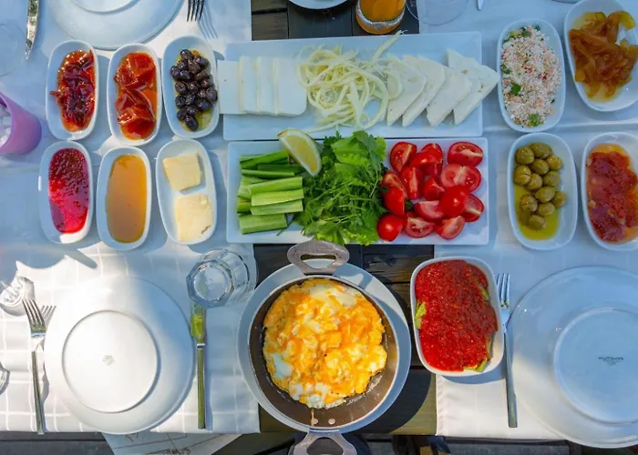 Bercu Paradise فيلة داليان