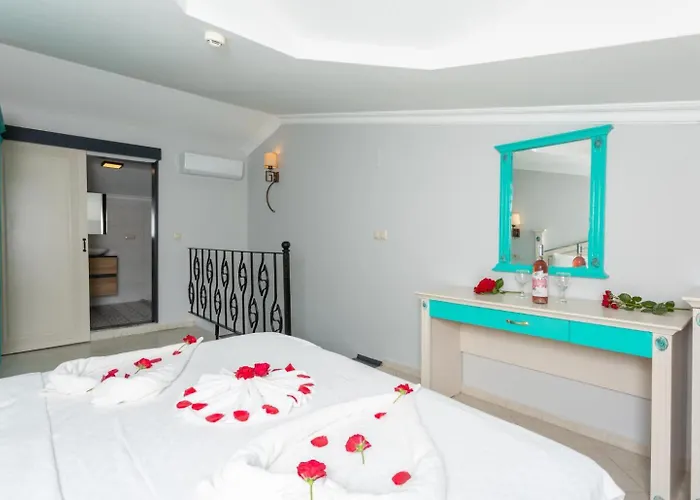 فيلة Bercu Paradise داليان